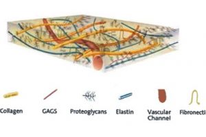 Wound care – an untapped healthcare investment opportunity